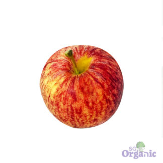 Organic Apple - Gala (each) Australia