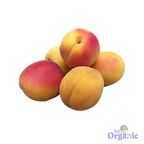 Organic Apricot (each) Australia