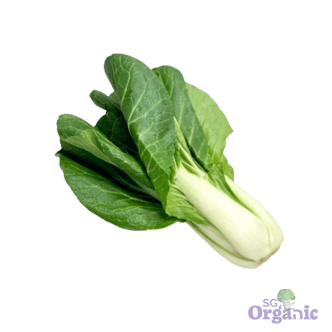 Organic Asian Greens - Bok Choy (1 stem) Australia