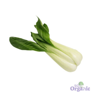 Organic Asian Greens - Pak Choy (1 stem) Australia