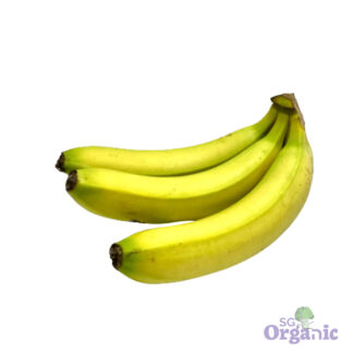 Organic Banana - Cavendish (500g) Australia