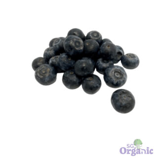 Organic Blueberries (125g) Australia