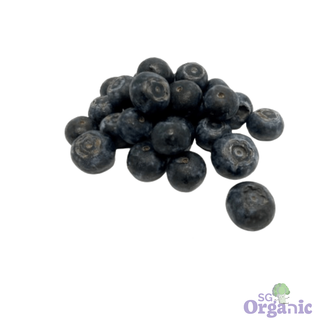 Organic Blueberries (125g) Australia