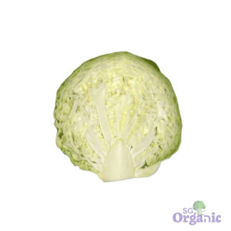 Organic Cabbage - Green (500g-cut) Australia