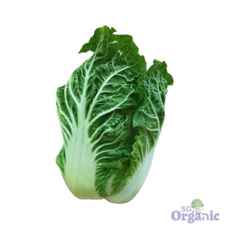 Organic Cabbage - Wombok (500g) Australia