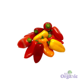 Organic Capsicum - Mini Heirlooms (snack-sized 250g) Australia