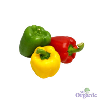 Organic Capsicum - Rainbow (One of each colour) Australia
