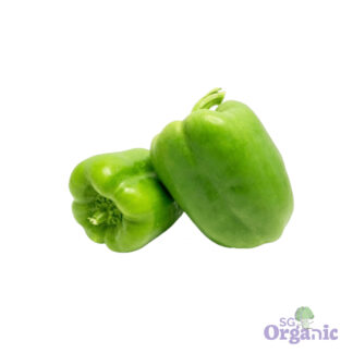 Organic Capsicum - Green (each) Australia