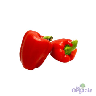 Organic Capsicum - Red (each) Australia