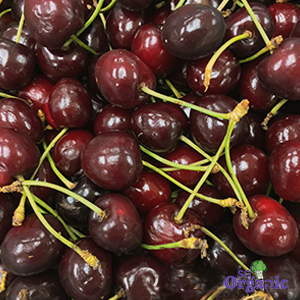 Organic Cherries (100g) Australia