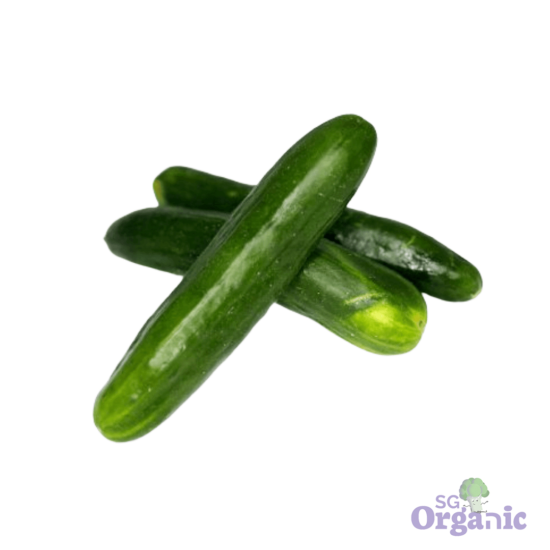 Organic Cucumber - English (250g) Australia