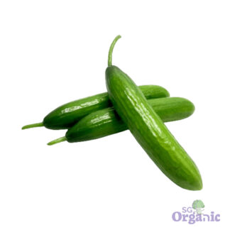 Organic Cucumber - Lebanese (250g) Australia