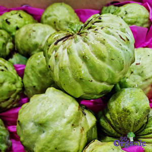 Organic Custard Apple (each) Australia