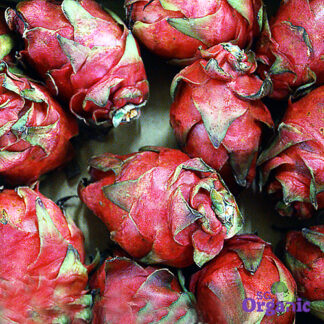 Organic Dragonfruit (each) Australia