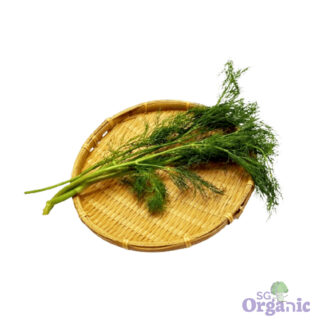 Organic Herbs - Dill (25g) Australia