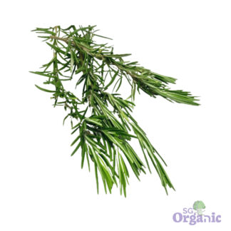 Organic Herbs - Rosemary (25g) Australia