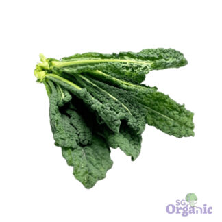 Organic Kale - Dino (400g) Australia