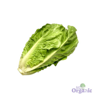 Organic Lettuce - Romaine (500g) Australia