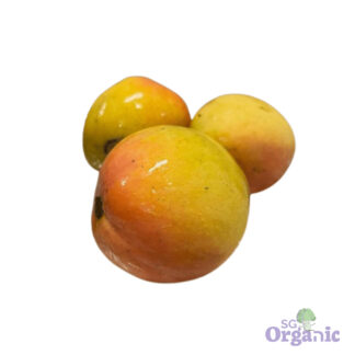 Organic Mango (each) Australia