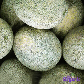 Organic Melon - Rockmelon (1kg-cut) Australia