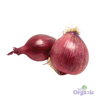Organic Onions - Red (250g) Australia
