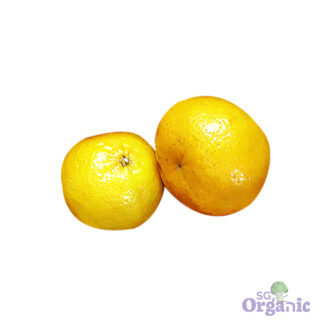 Organic Orange - Mandarin (each) Australia