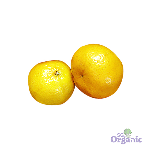 Organic Orange - Mandarin (each) Australia