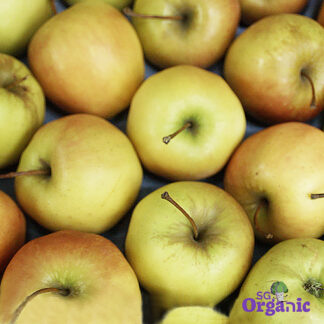 Organic Apple - Golden Delicious (each) Australia