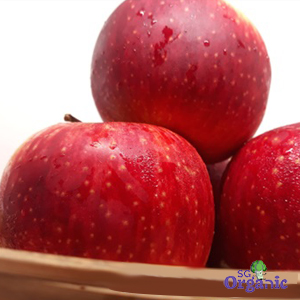 Organic Apple - Sundowner (each) Australia