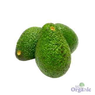 Organic Avocado - Hass (each) Australia
