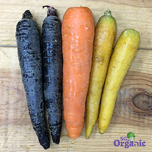 Organic Carrots - Rainbow (500g) Australia