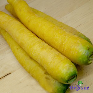 Organic Carrots - Yellow (500g) Australia