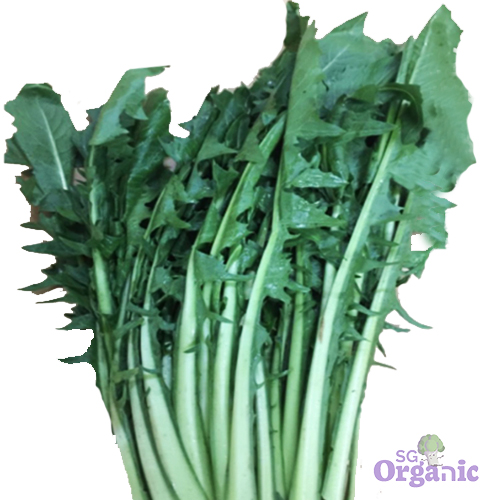 Organic Chicory (250g) Australia