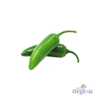 Organic Chilli - Jalapeño (100g) Australia