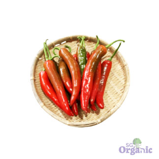 Organic Chilli - Sweet Yellow (100g) Australia