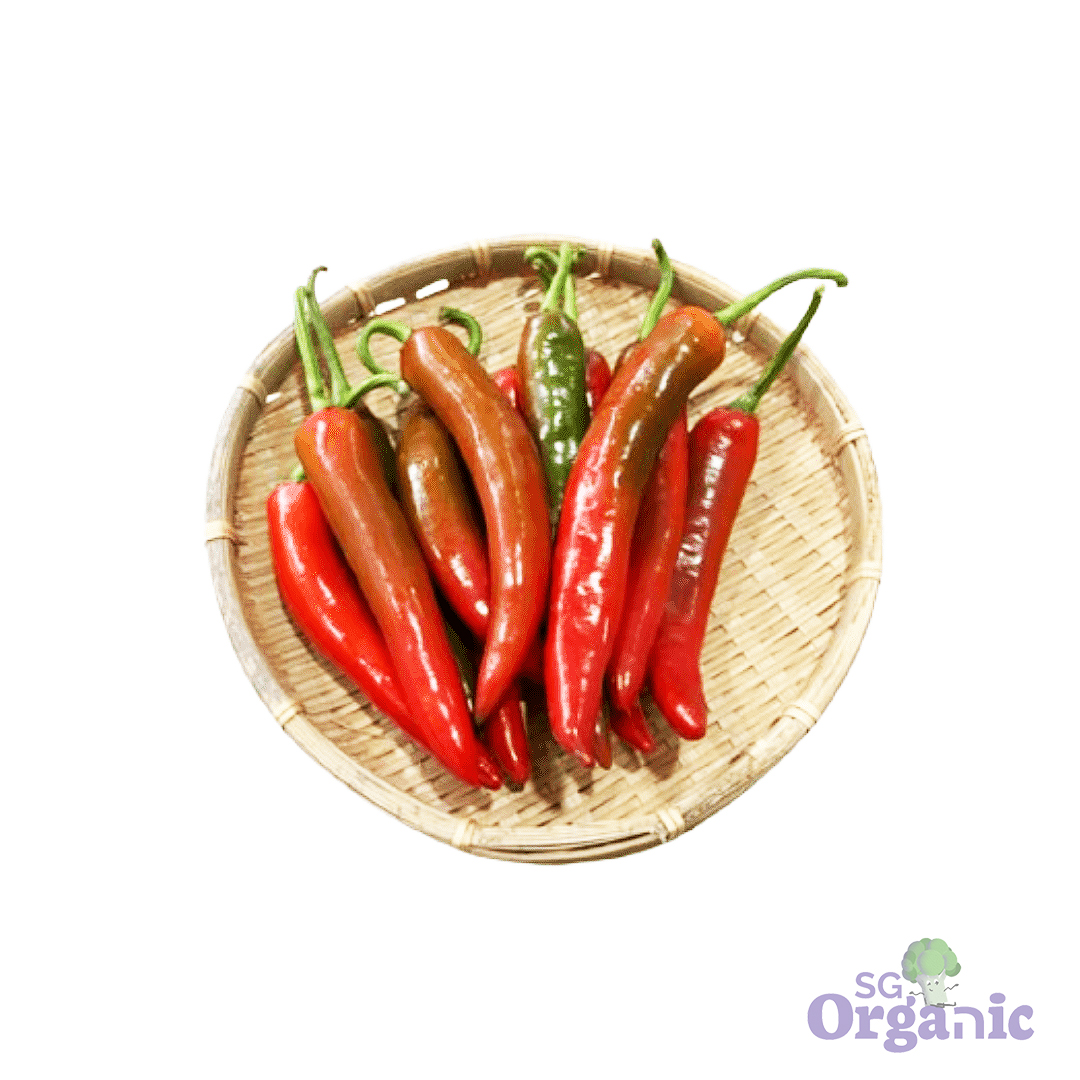 Organic Chilli - Sweet Yellow (100g) Australia