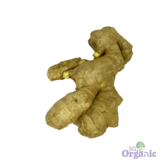 Organic Ginger (100g) Australia
