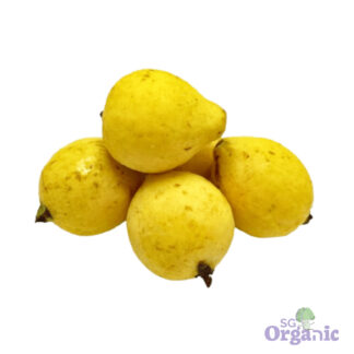 Organic Guava (each) Australia