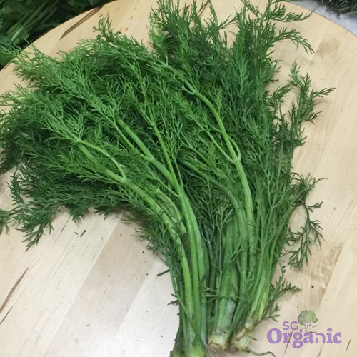 Organic Herbs - Dill (25g) Australia - Image 2