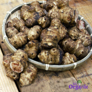 Organic Jerusalem Artichoke (100g) Australia