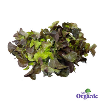 Organic Lettuce - Red Oak (250g) Australia
