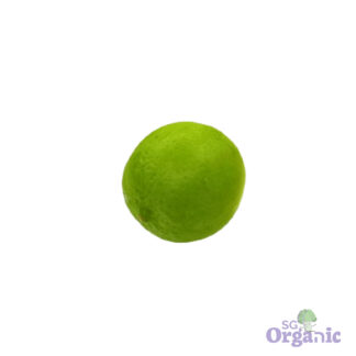 Organic Lime - Tahitian (each) Australia