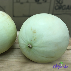 Organic Melon - Honeydew (1kg-cut) Australia