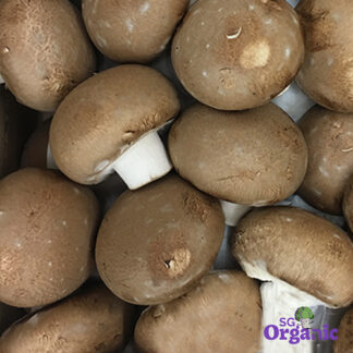 Organic Mushroom - Portobello (100g) Australia