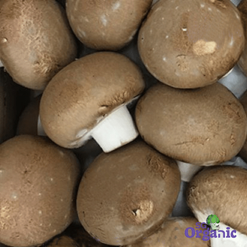 Organic Mushroom - Swiss Brown (100g) Australia