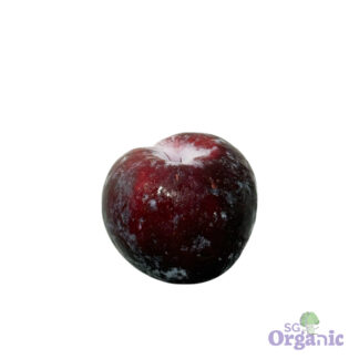 Organic Plum (each) Australia