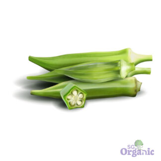 Organic Okra (Lady Finger) (100g) Australia