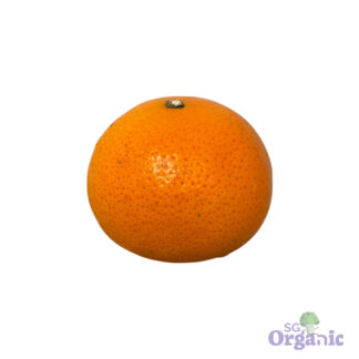 Organic Orange - Navel, medium (each) Australia