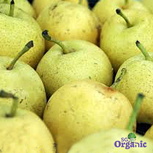 Organic Pear - Nashi (each) Australia