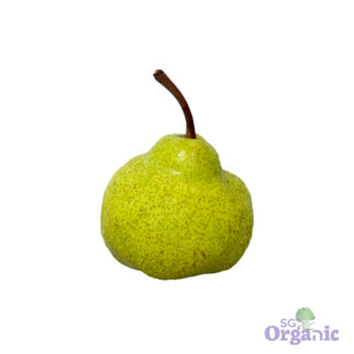 Organic Pear - Packham (each) Australia